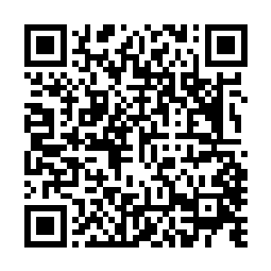 而这也正是为什么寒冰界的武者会比初界的舞者更强的缘故二维码生成