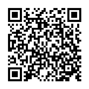 而这些日子以来被她调教得很到处的小玉则走得慢了一拍二维码生成