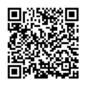 而这些树妖和石妖虽然是女娲利用生命大道催化出来二维码生成