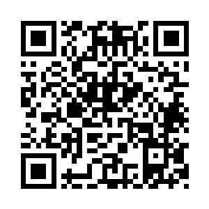 而这些树木被砍伐的原因只能是为了二维码生成