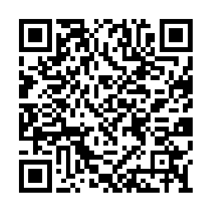 而这些虾子这会儿根本就没有和林烽战斗的意思二维码生成