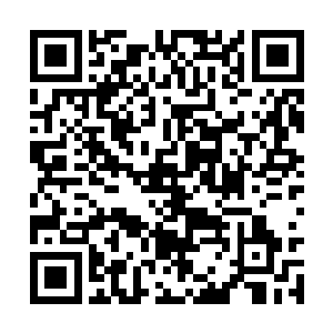 而这位老太太居然全部毫无感觉的装上翅膀就走了二维码生成