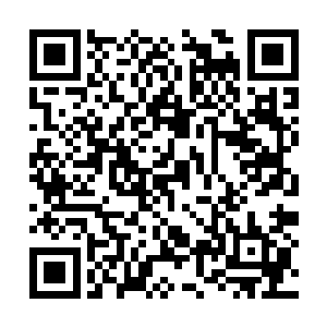 而这其中甚至还有一个雷欢喜的老朋友兼合作对象二维码生成