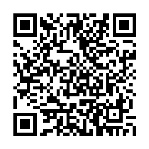 而这座四合院还是我师父她们留给我的修真门户二维码生成