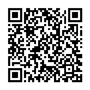 而这树妖藏身在森林中以这种方式进攻也的确是恐怖二维码生成