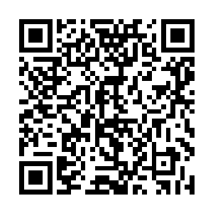 而这样的生活在很久很久以前陪伴着她度过漫漫长路二维码生成