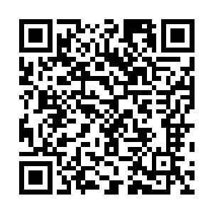 而这玩意儿可以用世界级别的罕见植物来形容都不为过啊二维码生成