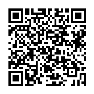 而这种悲哀也是导致了敖紫想要击杀敖苍武的决心二维码生成