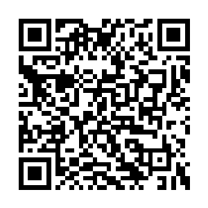 而这般隐匿自身跟着燕和馨他们又走了好几日后二维码生成