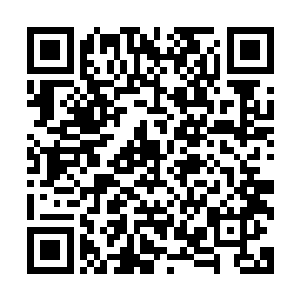 而这让本来还打算靠茅楚楚挡枪子的贺尊一时间手足无措起来二维码生成