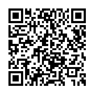 而这颗妖丹内几乎是蕴含了妖花一身能量的精华二维码生成