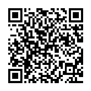 而远在山脉中心深处的慕容仙儿手腕处的灵镯也不断闪烁着光芒二维码生成