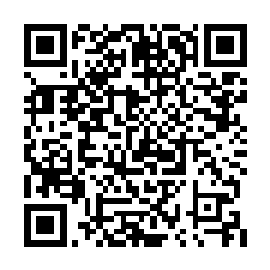 而远处的韩佳儿也已经不再是熟知的那个韩佳儿二维码生成