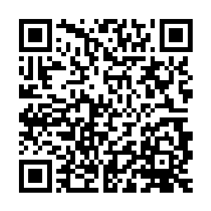 而逆种异形则需进入完全体才能再次使用召唤兽进化药进行进化二维码生成