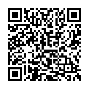而选中这排名第一的同行就只有我手上这几位了二维码生成