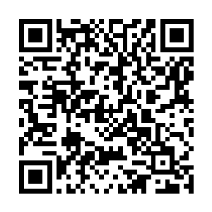 而那一大波的独角乌烟兽却只能围绕在沼泽四周进不去二维码生成