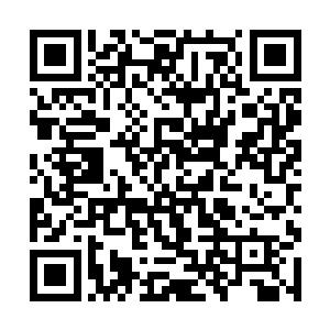 而那一战也让诸天百界的仙王数数量锐减了五分之一二维码生成