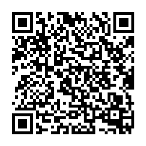 而那两个小混混立即趁机从陈胖子严防死守的口袋里将装着整钱的钱包取了出来二维码生成