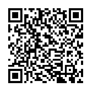 而那两百多名凌云宫弟子的身形也随之显现在众人的眼中二维码生成