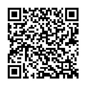 而那个三小姐苏佳怡就像是突然变了一个人一样二维码生成