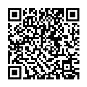 而那个前几天还因为一言不合对着邵玄和苏古拔刀的天轮城女孩二维码生成