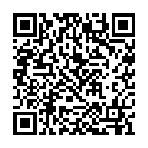 而那个古怪的老头和传奇野蛮人则躺在另外一头二维码生成