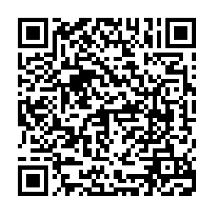 而那个叫匕首的家伙最是吸引柯伦波的目光……这人胳膊上绑着那么多刀二维码生成