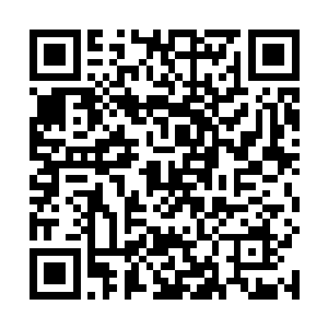 而那个在凤羽珩口中童年才刚刚开始的孩子所坐的马车二维码生成