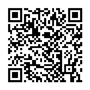 而那些保护在天武帝身前的暗卫则会被圆球撞击二维码生成