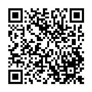 而那些冷嘲热讽的公主只能说她们不隐藏自己的内心想法二维码生成