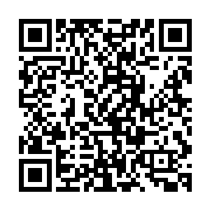 而那些匍匐在地上一动不动的巨型千足虫再听到了这道声音后二维码生成