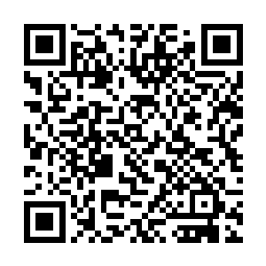 而那些因为怯弱而躲在了墙后的人没有任何机会逃离二维码生成