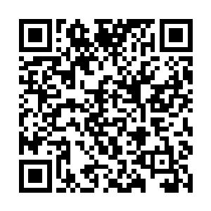 而那些围在周围的海盗船此时竟不顾一切地挡到前方二维码生成