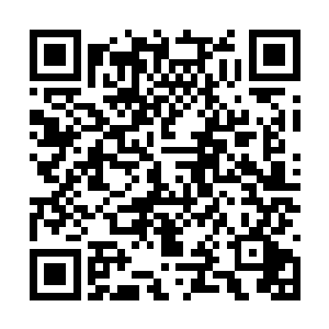 而那些在这场战争中证明过自己的毒素类血脉专家二维码生成