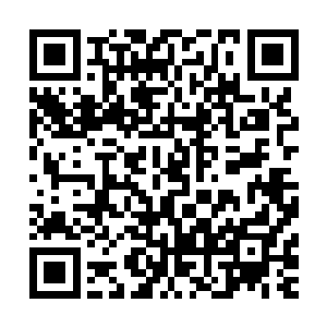 而那些崔府的家丁家将见宇文度祭放出飞天婴颅不仅没有欢呼二维码生成