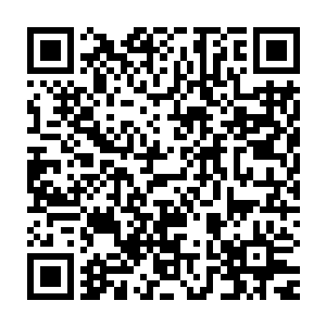 而那些攻击它的水元素像是遇到磁石一样折返被五行水兽吸纳消失二维码生成