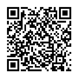 而那些新生的卵则是会被分派给那些因为体质太过悸弱二维码生成
