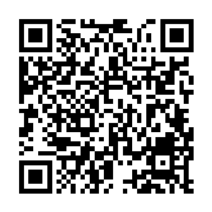 而那些疯狂的女球迷则被保安和玻璃门挡在了外面二维码生成