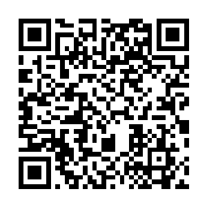 而那些矗立在天泽林的许多石峰此时发出一道道白色光线二维码生成