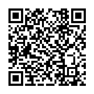 而那些魔战士再手持那些威力强大的骨器到处捣乱二维码生成