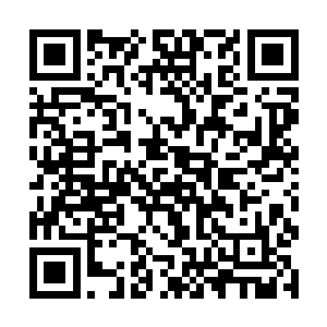 而那伪王主的胸口不知何时已经出现一个巨大的窟窿二维码生成