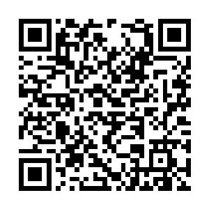 而那其中有着那次天地大战数万强者的传承及功法二维码生成