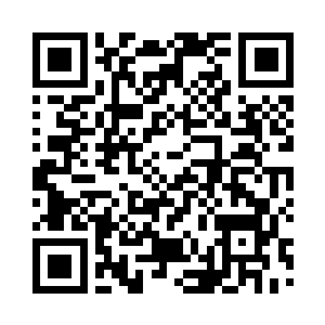 而那只混沌兽却是圣级大圆满后期巅峰二维码生成