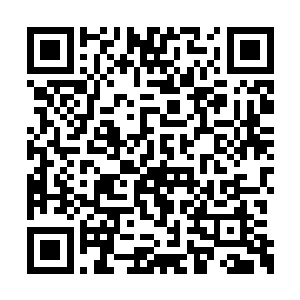 而那只输掉了比赛的大海豚看起来居然有些沮丧二维码生成