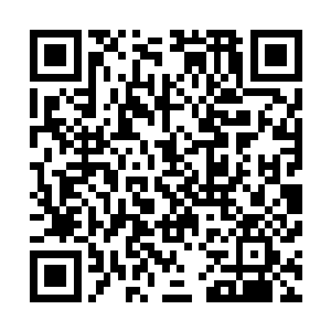 而那各个岛屿较大的自治权和魔族来时这些大家族的迁徙权二维码生成