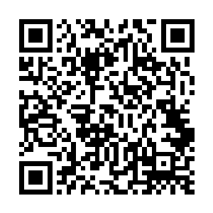 而那名百战谱的男子在龙王的一拳之下顿时便退了十来步二维码生成