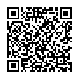 而那并不是他们真正的生活或者说只是他们生活的一部分二维码生成