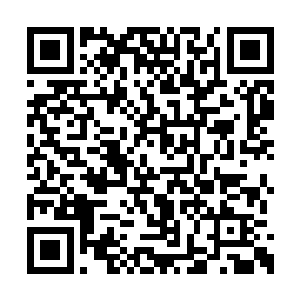 而那幸存的二十多人全都是站在比较靠后的位置二维码生成