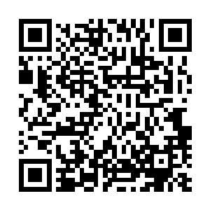 而那才刚刚恢复了伤势的蛟魔王更是被这冲击波给狠狠击中二维码生成