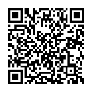 而那整齐排列的士兵则是巨蛇身上的尖刺和毒牙二维码生成